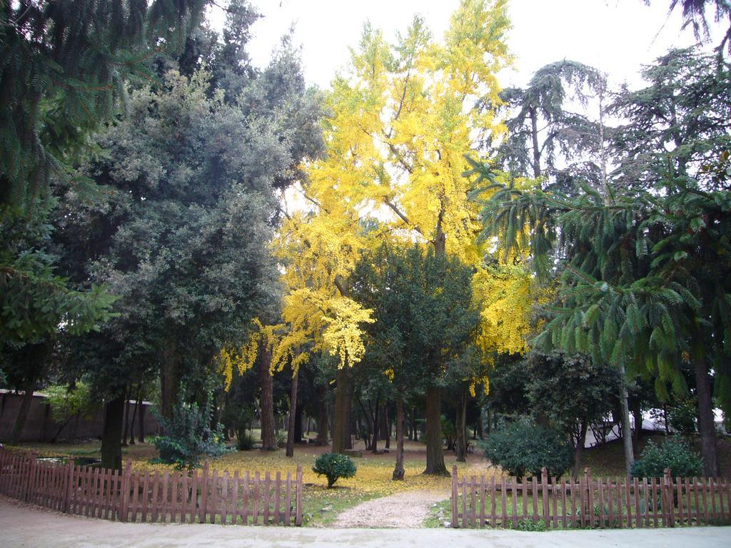 Villa Altieri アルバーノ・ラツィアーレ エクステリア 写真