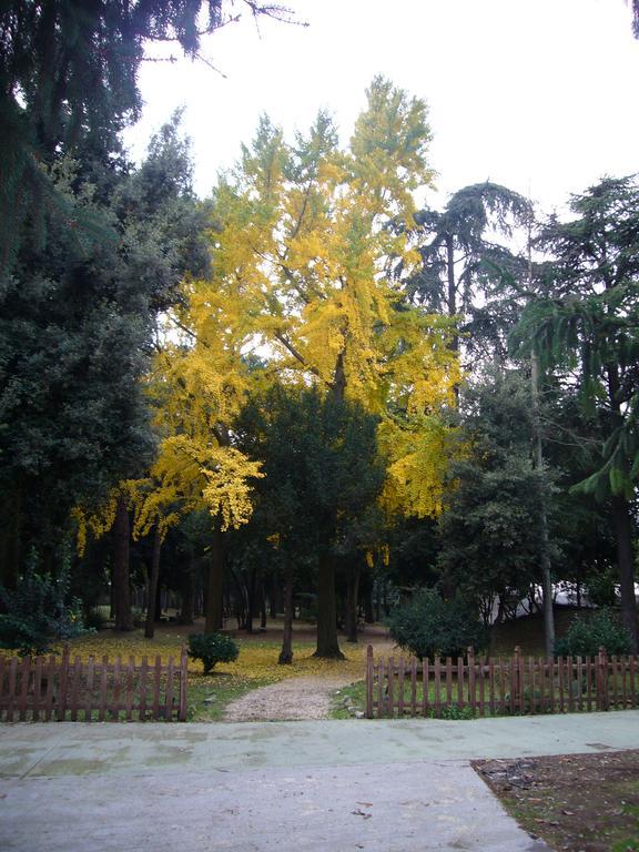 Villa Altieri アルバーノ・ラツィアーレ エクステリア 写真